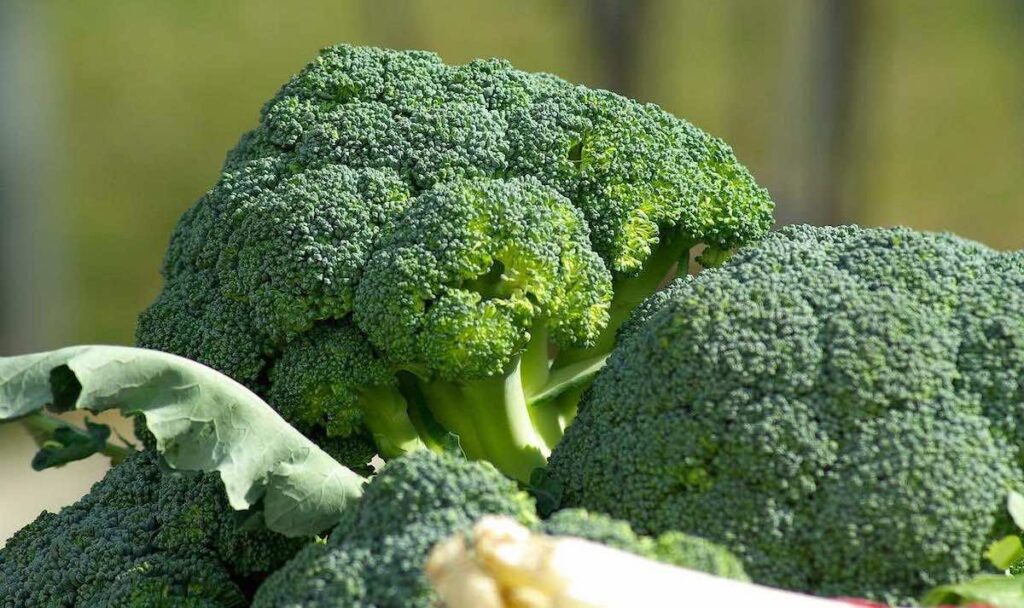 brokul - najlepsze warzywa na soki